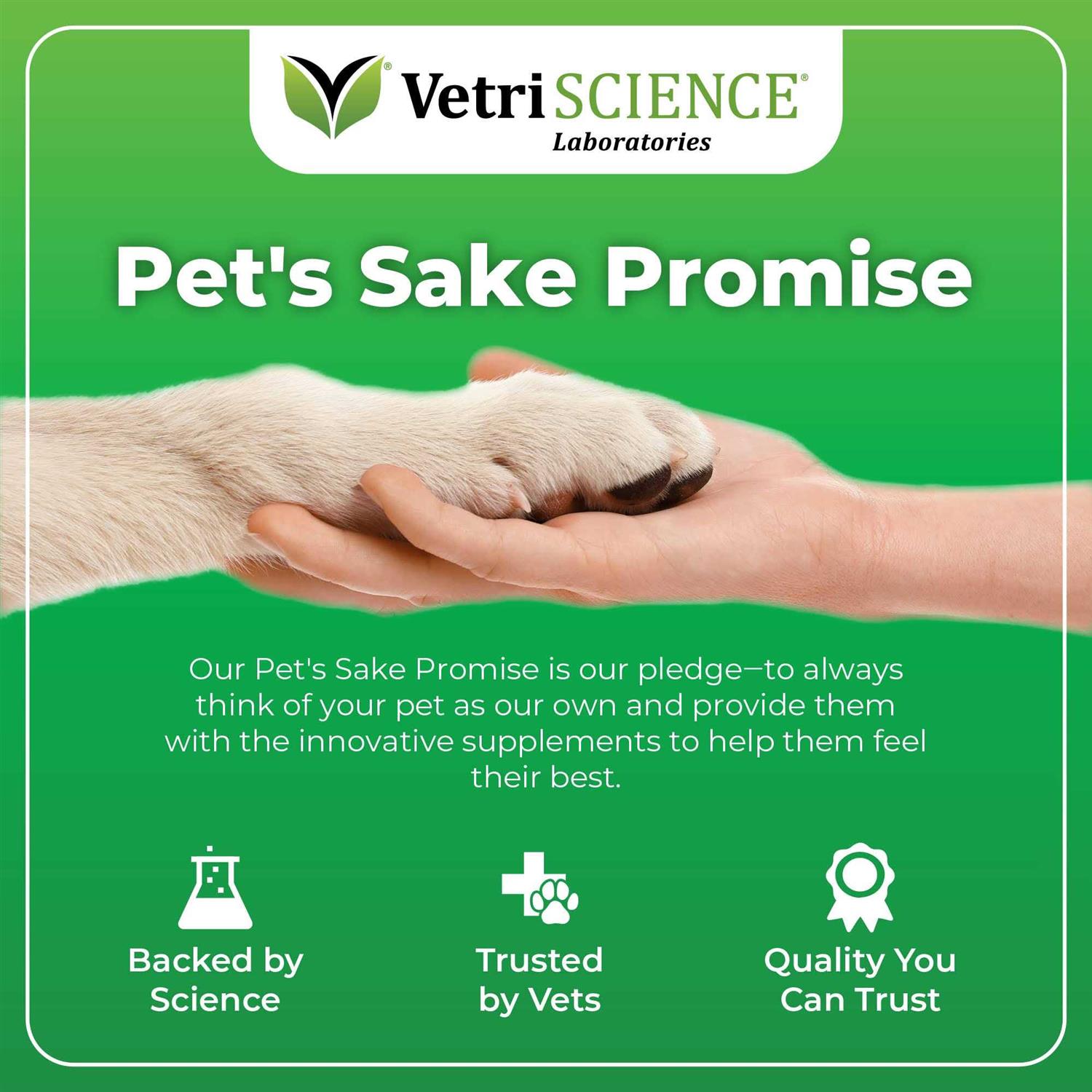 Alternative view of VetriScience Derma Strength Dogs