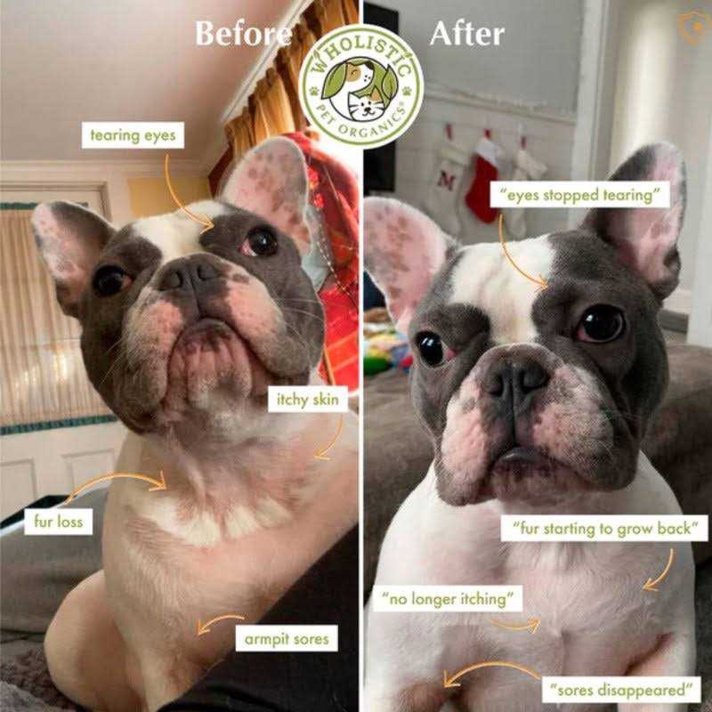 Alternative view of Wholistic Pet Organics Colostrum Powder