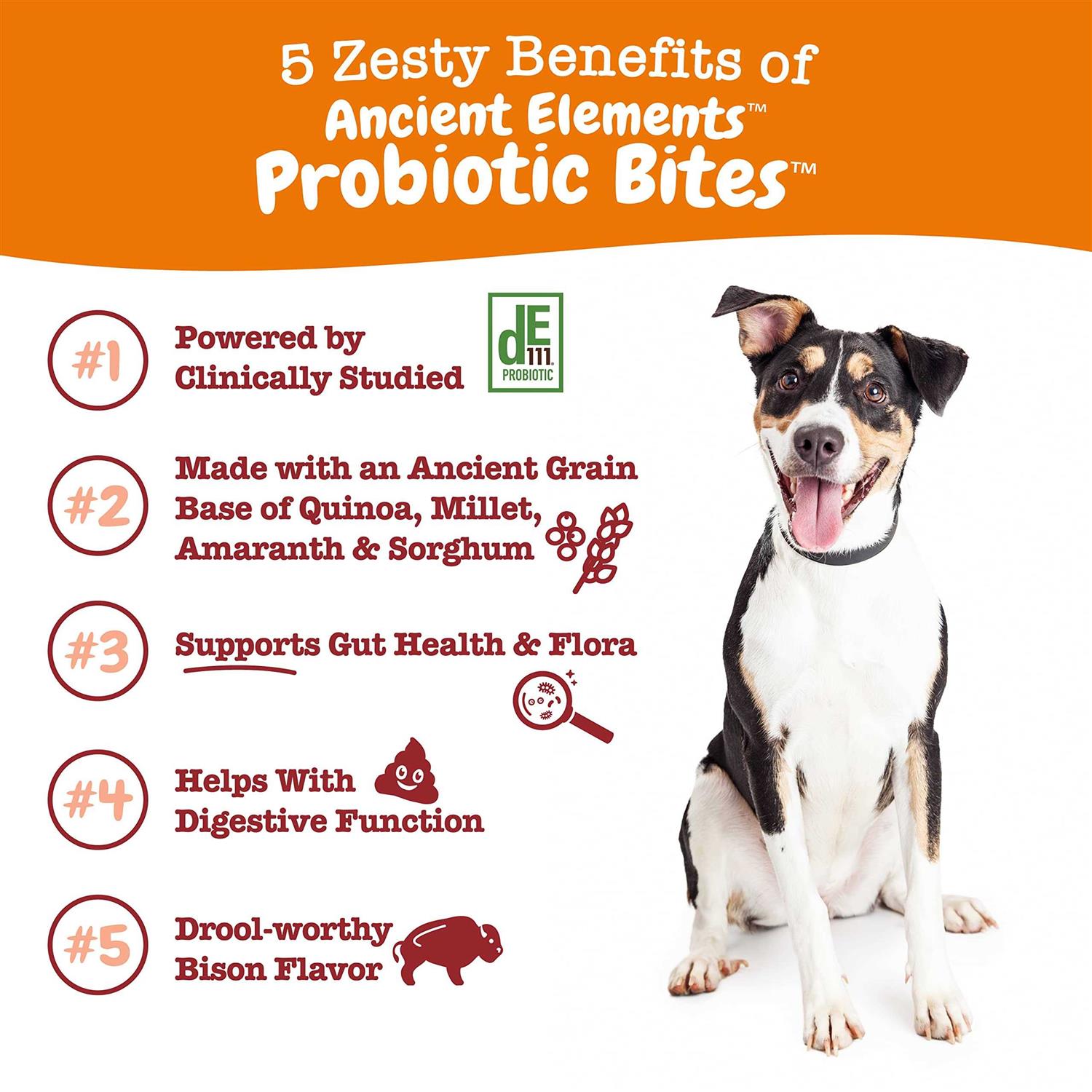 Alternative view of Zesty Paws Bison Ancient Elements Probiotic Bites for Dogs