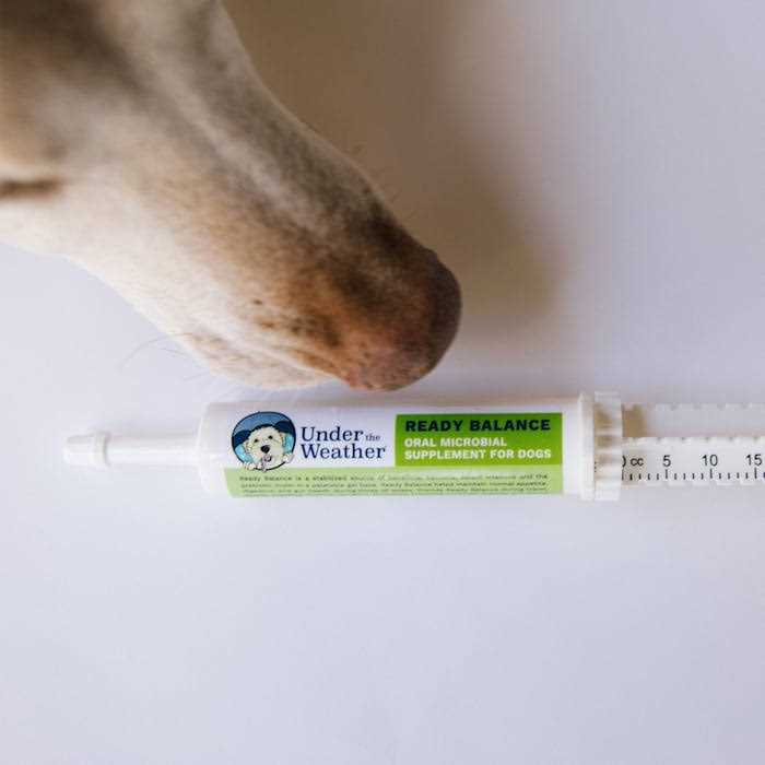 Alternative view of Under the Weather Ready Balance for Dogs