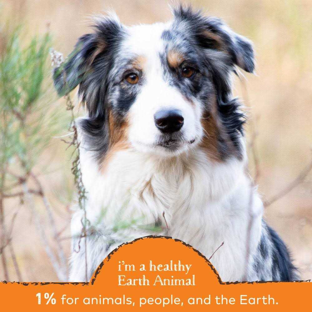 Alternative view of Earth Animal Stop Eating Stool Nutritional Supplement