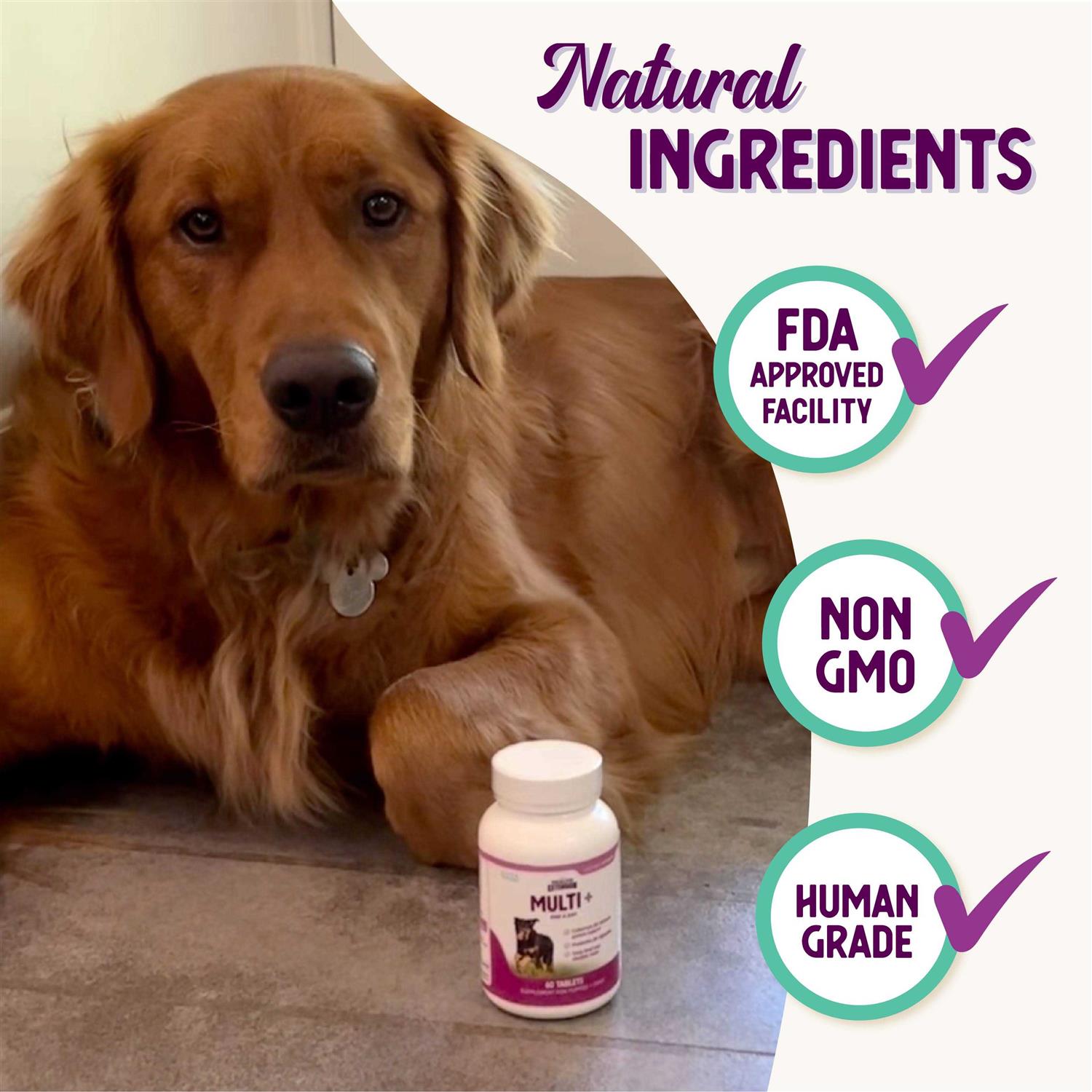 Alternative view of Health Extension Lifetime Vitamins