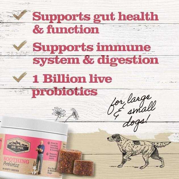 Alternative view of Dr. Pol Probiotic Chews for Dogs Small & Medium