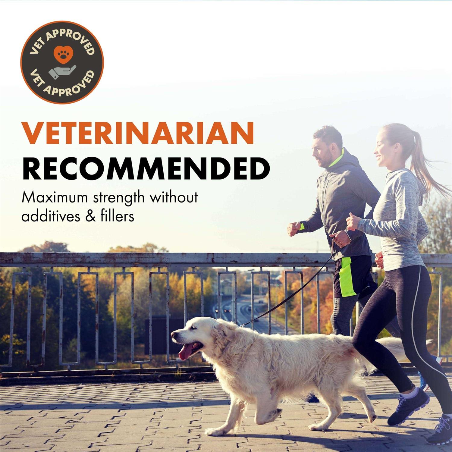 Alternative view of OptiPup All in 1 Puppy Multivitamin & Probiotic by Alpha Dog Nutrition