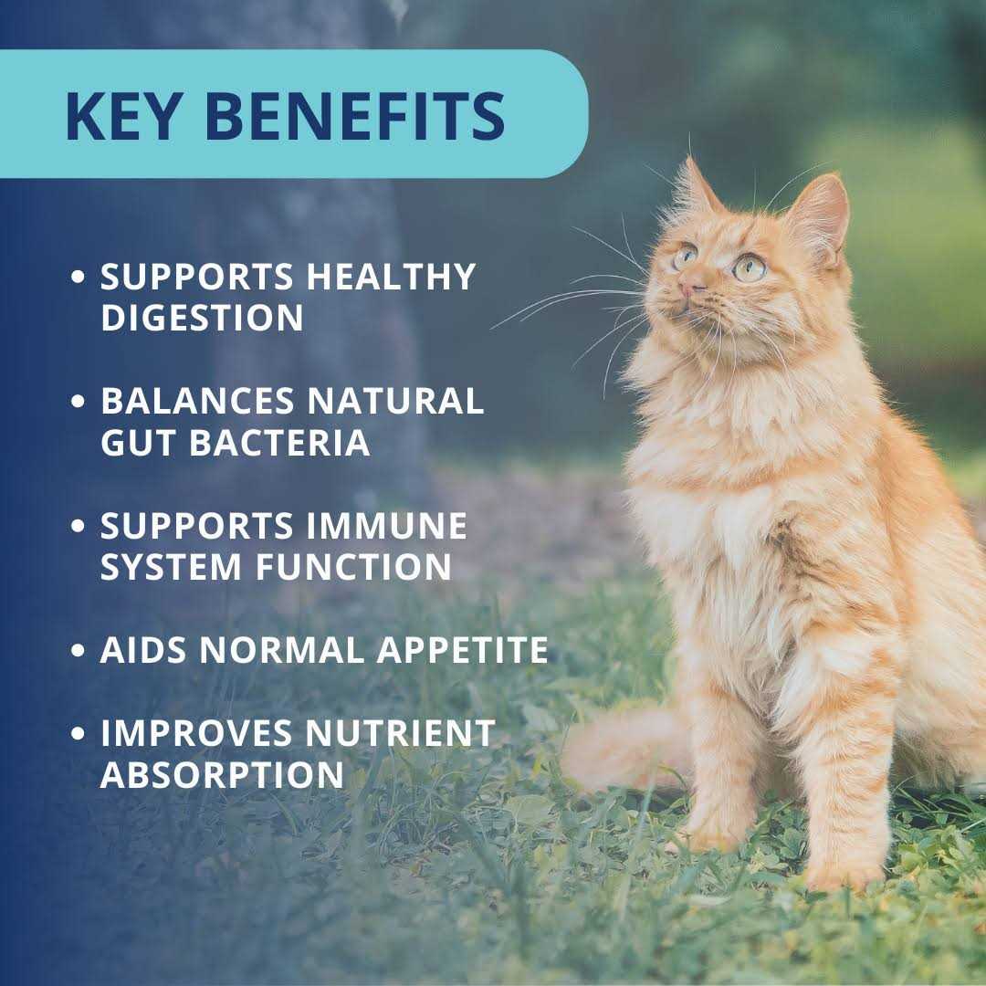 Alternative view of Under the Weather Cat Supplement Probiotic Soft Chews