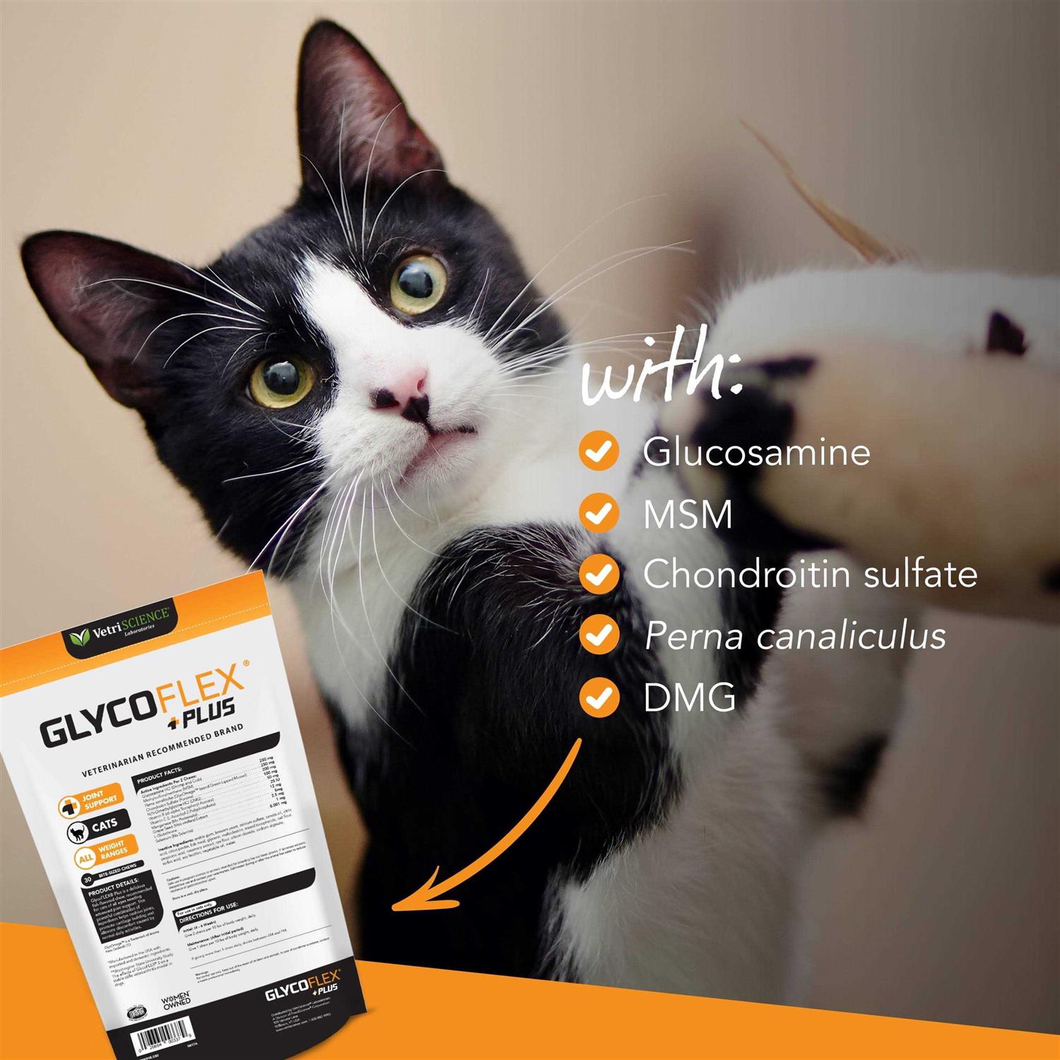 Alternative view of VetriScience GlycoFlex Plus Hip & Joint Support for Cats