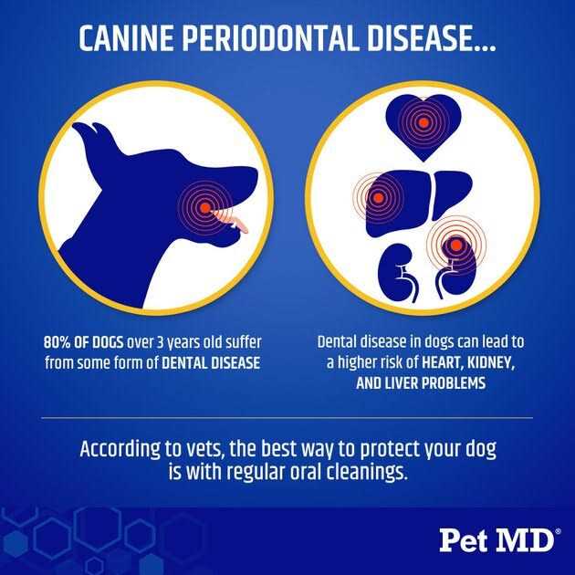 Alternative view of Pet Md Proden Plaqueoff Powder Dog Supplement For Healthy Teeth And Gums 60g