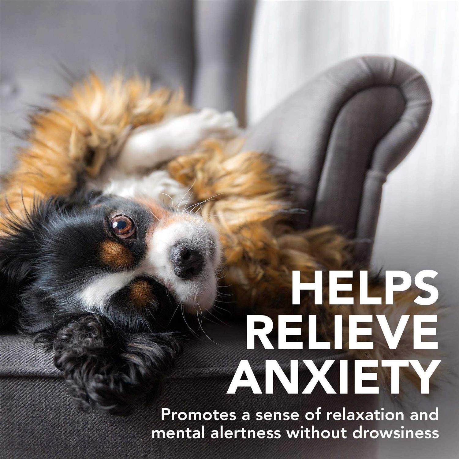 Alternative view of Vet's Best Comfort Calm Soft Chews