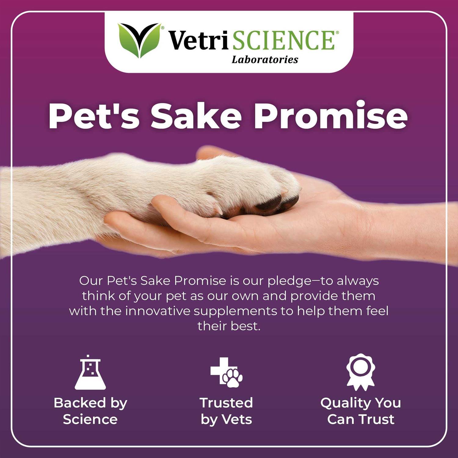 Alternative view of VetriScience Omega Plus Advanced Skin Duck Flavor Supplement for Dogs