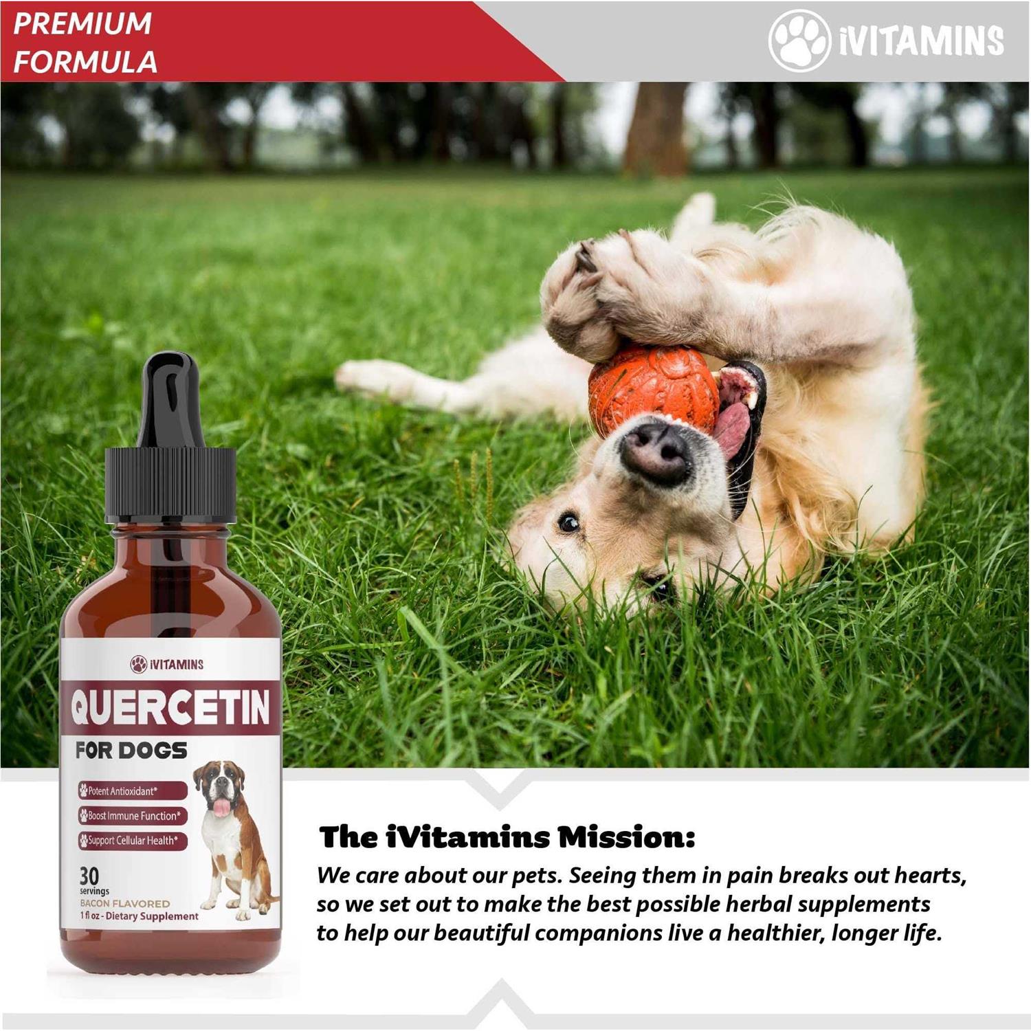 Alternative view of Quercetin for Dogs Dog Allergy Relief Quercetin for Dogs Allergies