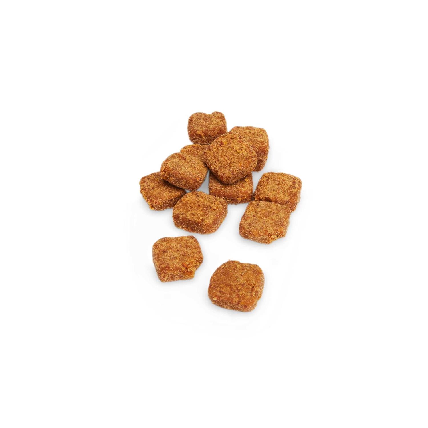 Alternative view of Well & Good Digestive Enzymes with Probiotics Soft Dog Chews