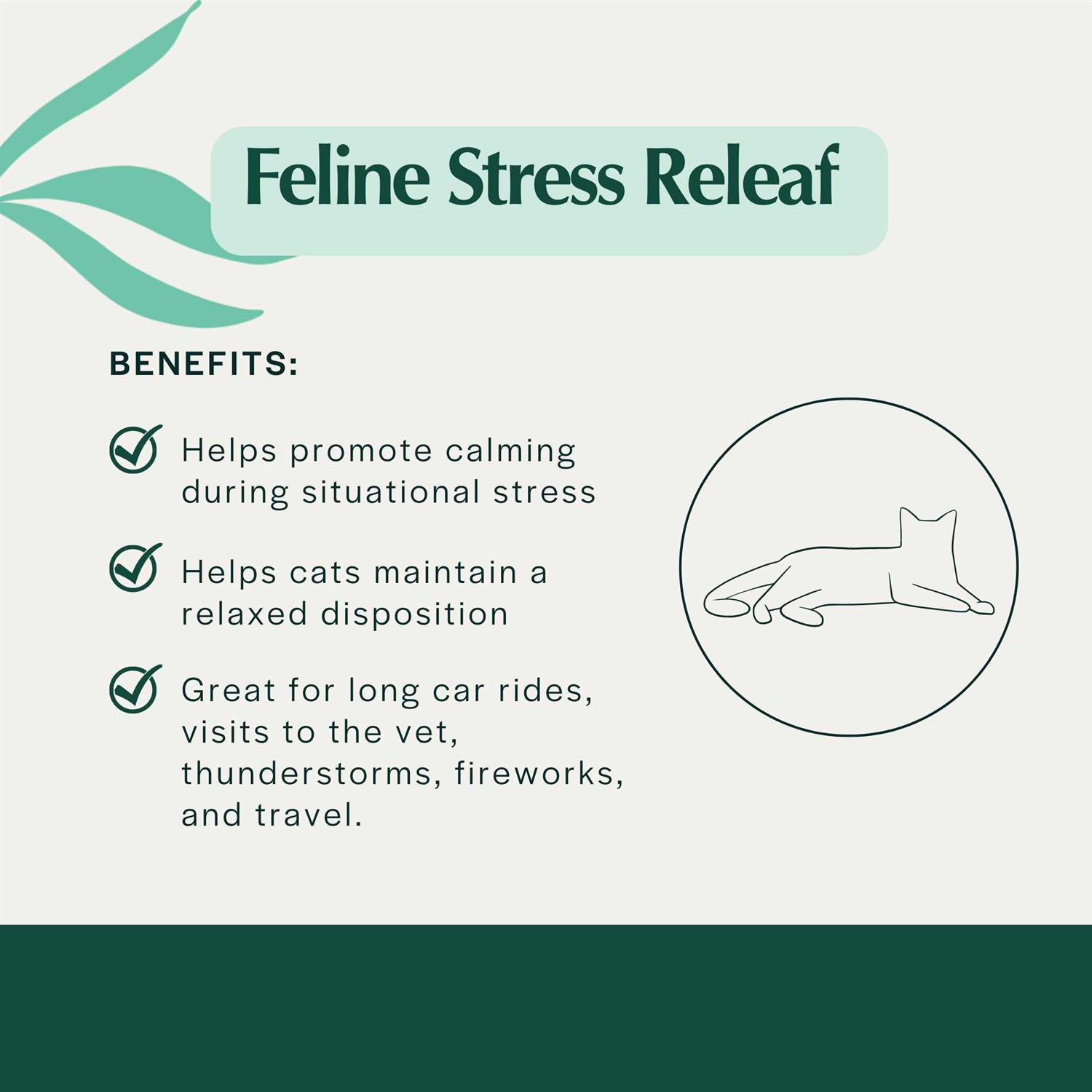 Alternative view of Pet Releaf Feline Stress Releaf Organic Oil for Cats