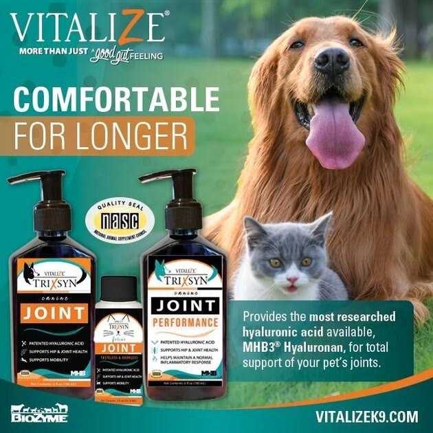 Alternative view of Vitalize Trixsyn Canine Joint Supplement