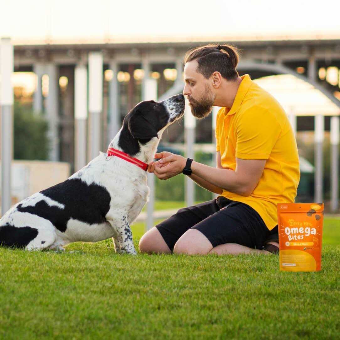Alternative view of Zesty Paws Skin & Coat Omega Bites for Dog Chicken Flavor