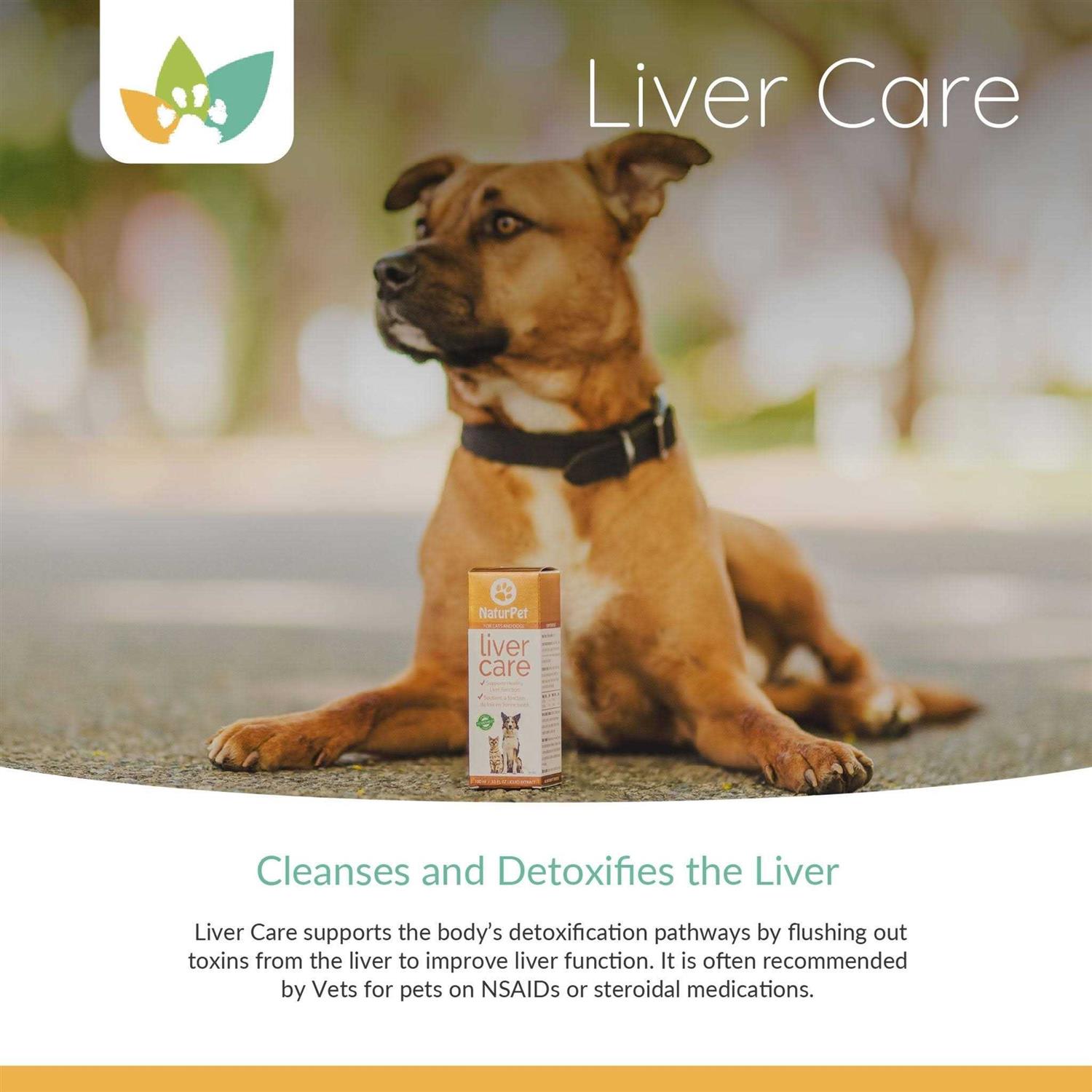 Alternative view of NaturPet Liver Care 100ml