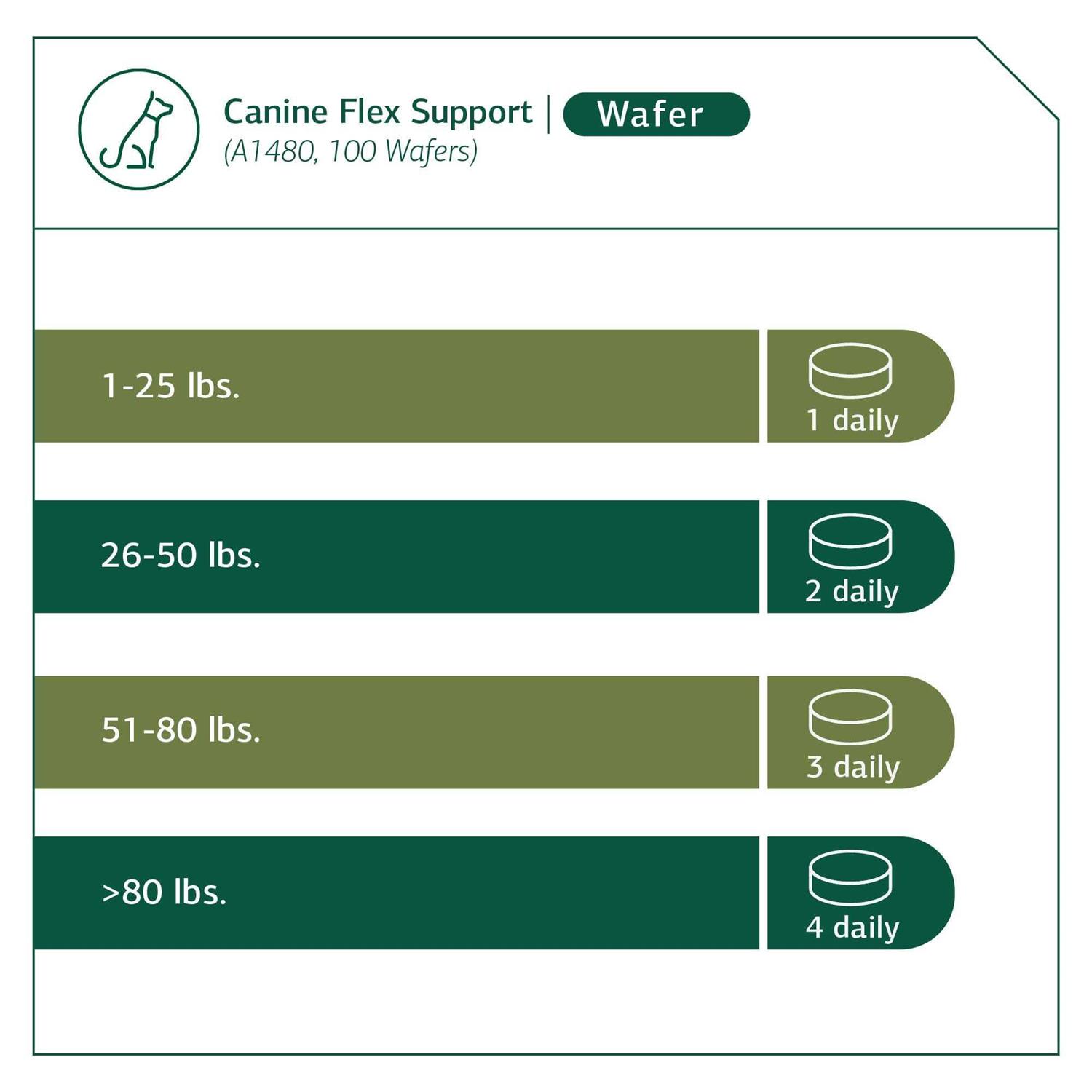 Alternative view of Canine Flex Support