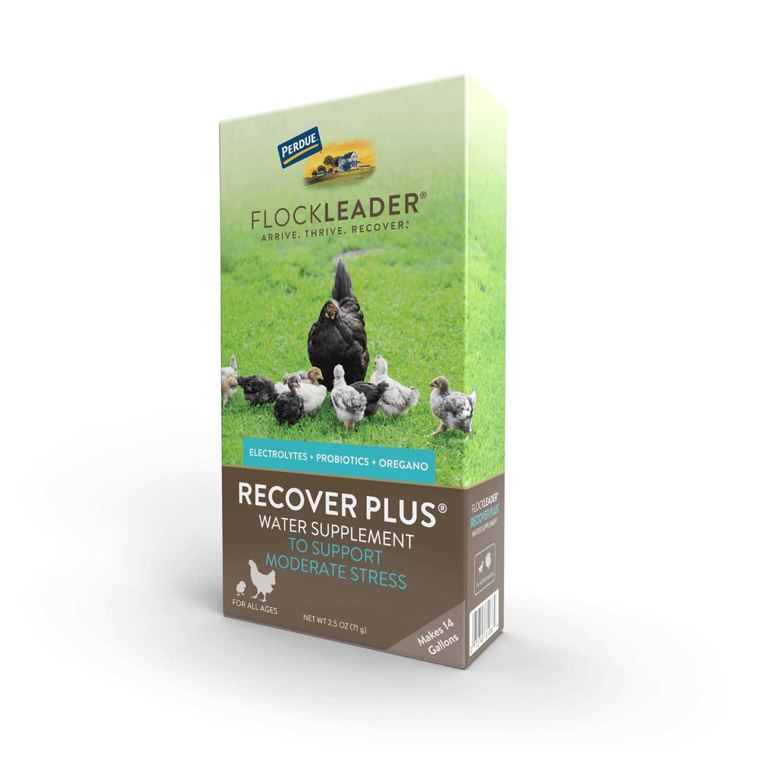 Flockleader Recover Plus Poultry Supplement