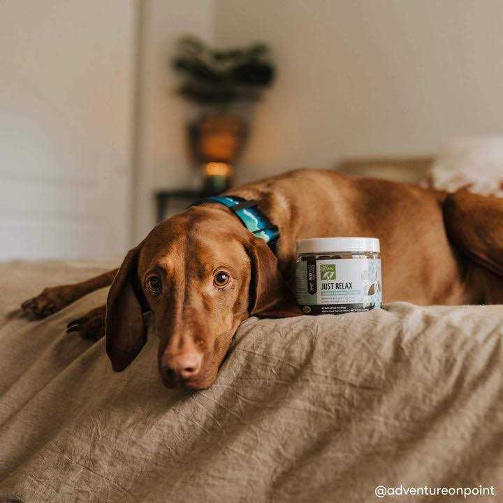Alternative view of Only Natural Pet Just Relax Herbal Calming Soft Chews