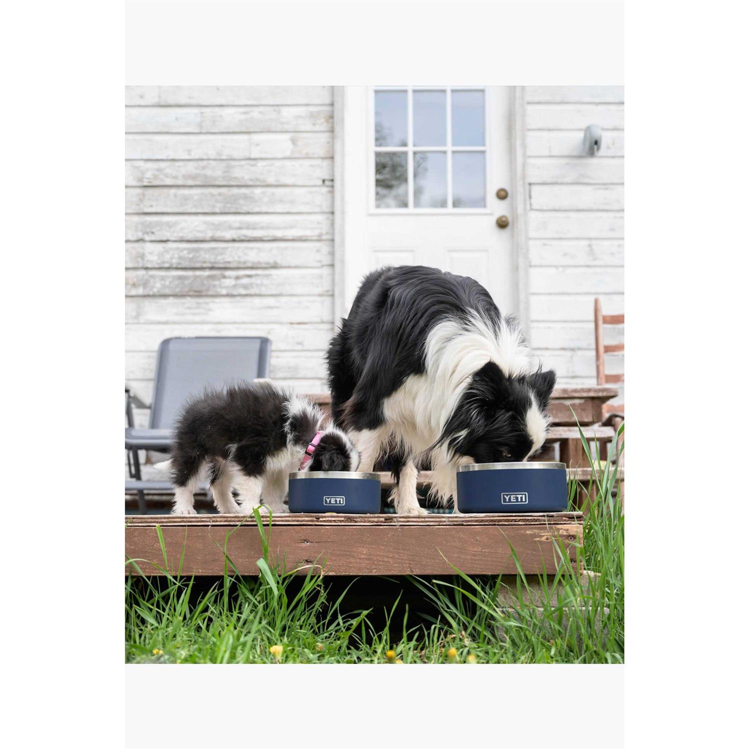 Alternative view of Boomer Dog Bowl Yeti