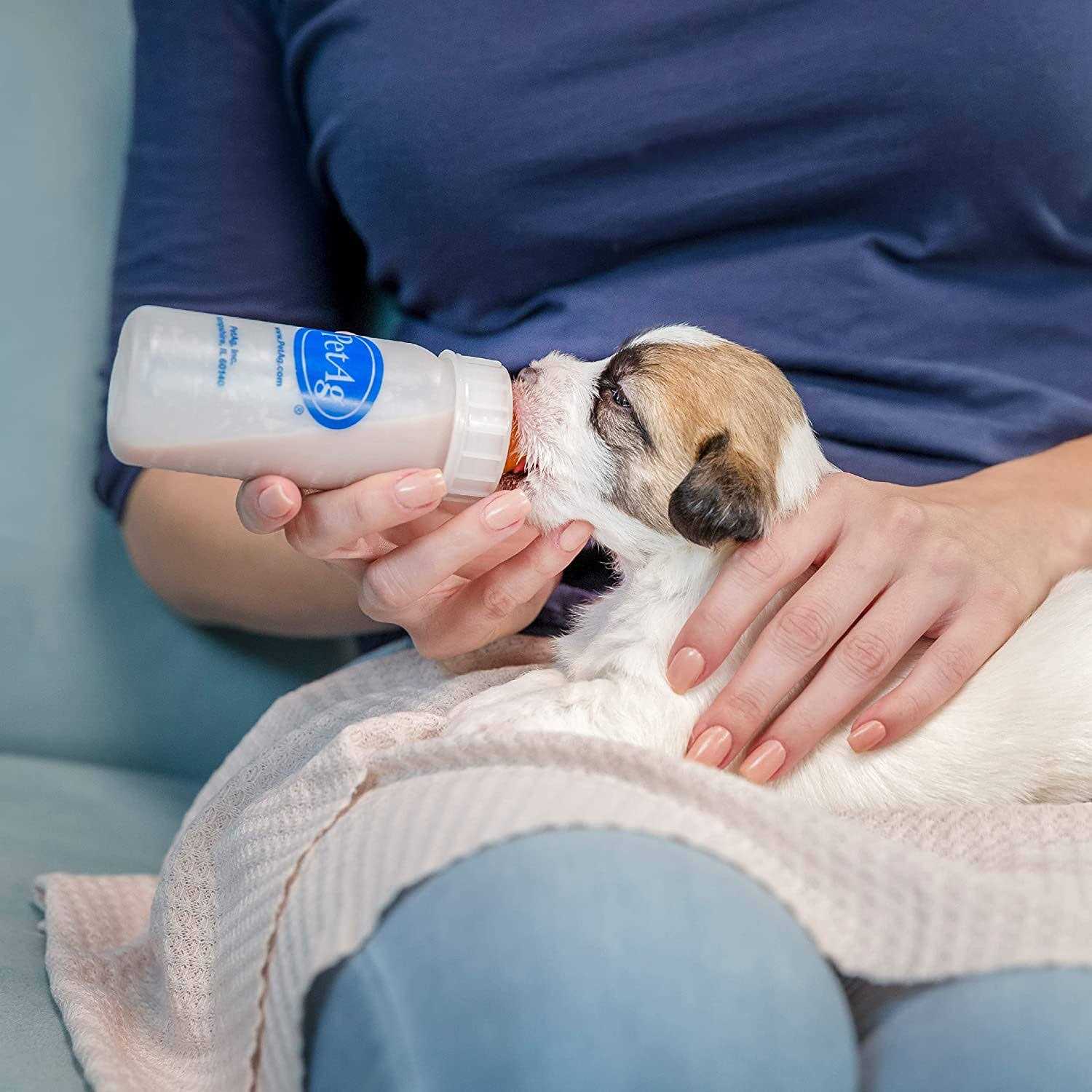 Alternative view of PetAg Nurser Bottle