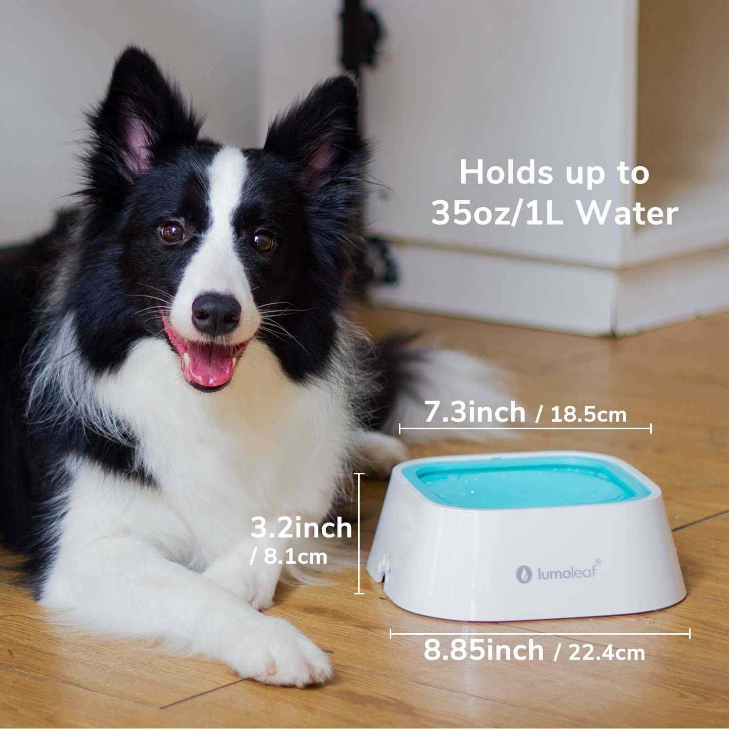 Alternative view of LumoLeaf Dog Water Bowl Pet Slow Water Feeder Bowl No Spill Dog Bowl