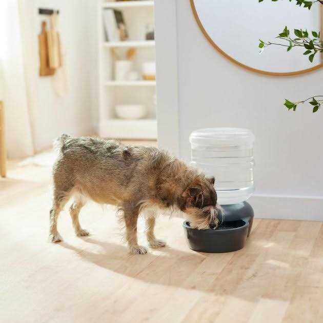 Alternative view of Frisco Wide Mouth Gravity Waterer