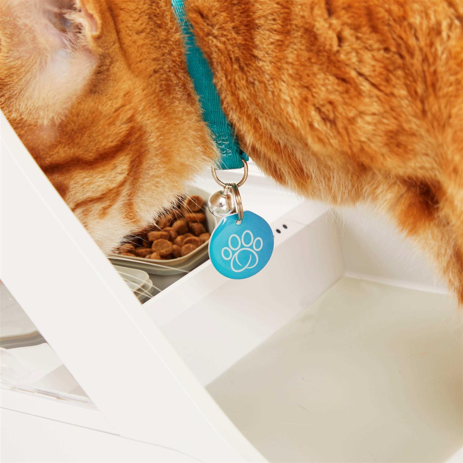 Alternative view of Sure Petcare SureFeed Microchip Pet Feeder Connect