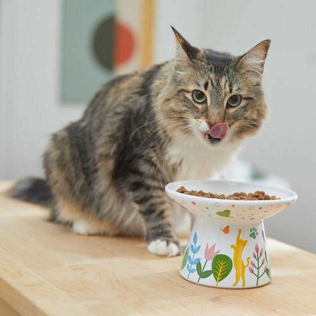 Alternative view of Frisco Cat Face Floral Wide Shape Elevated Non-Skid Ceramic Cat Bowl