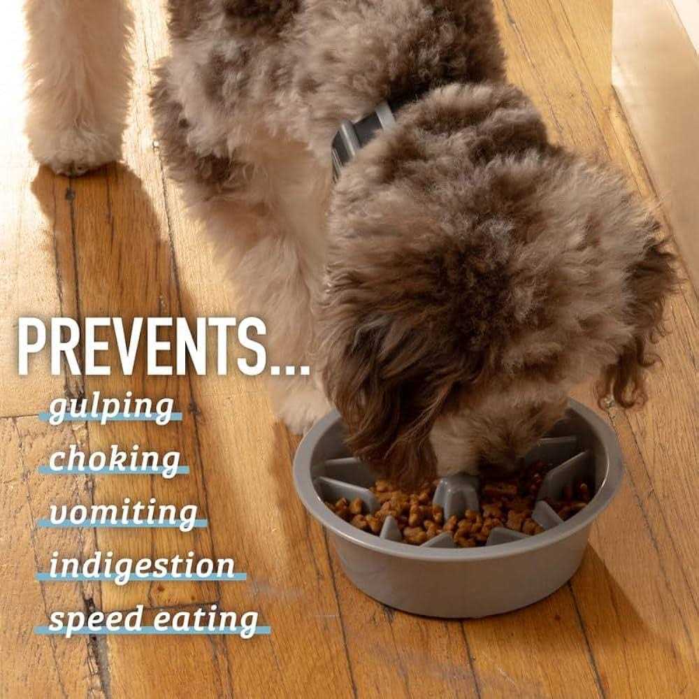 Alternative view of Leashboss Slow Feeder Dog Bowls Cup Maze Puzzle Food Bowl with Feeder Holes