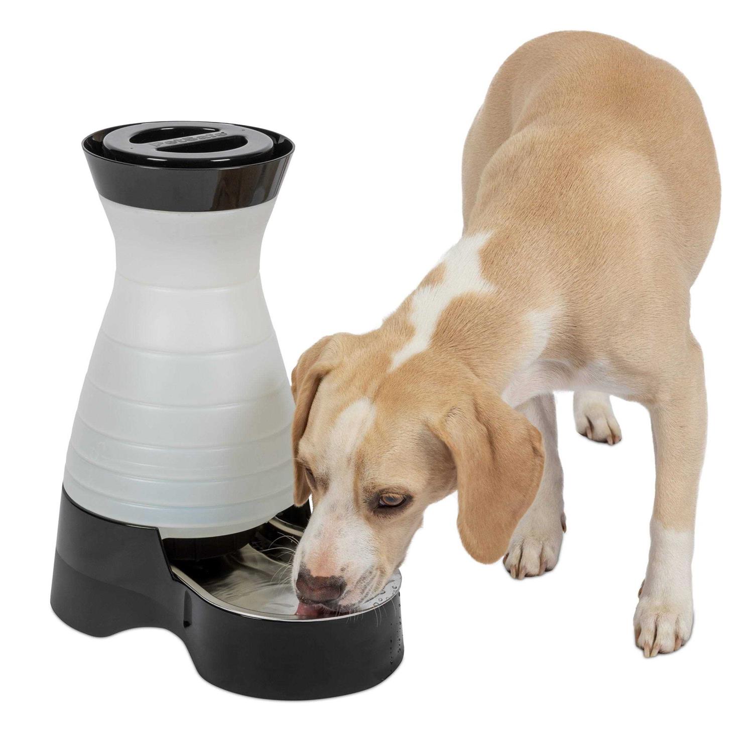 Alternative view of PetSafe Healthy Pet Water Station