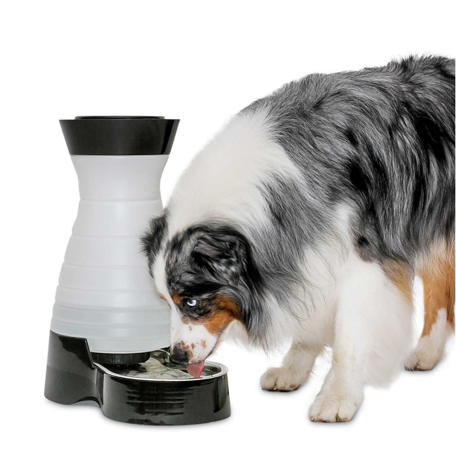 PetSafe Healthy Pet Water Station