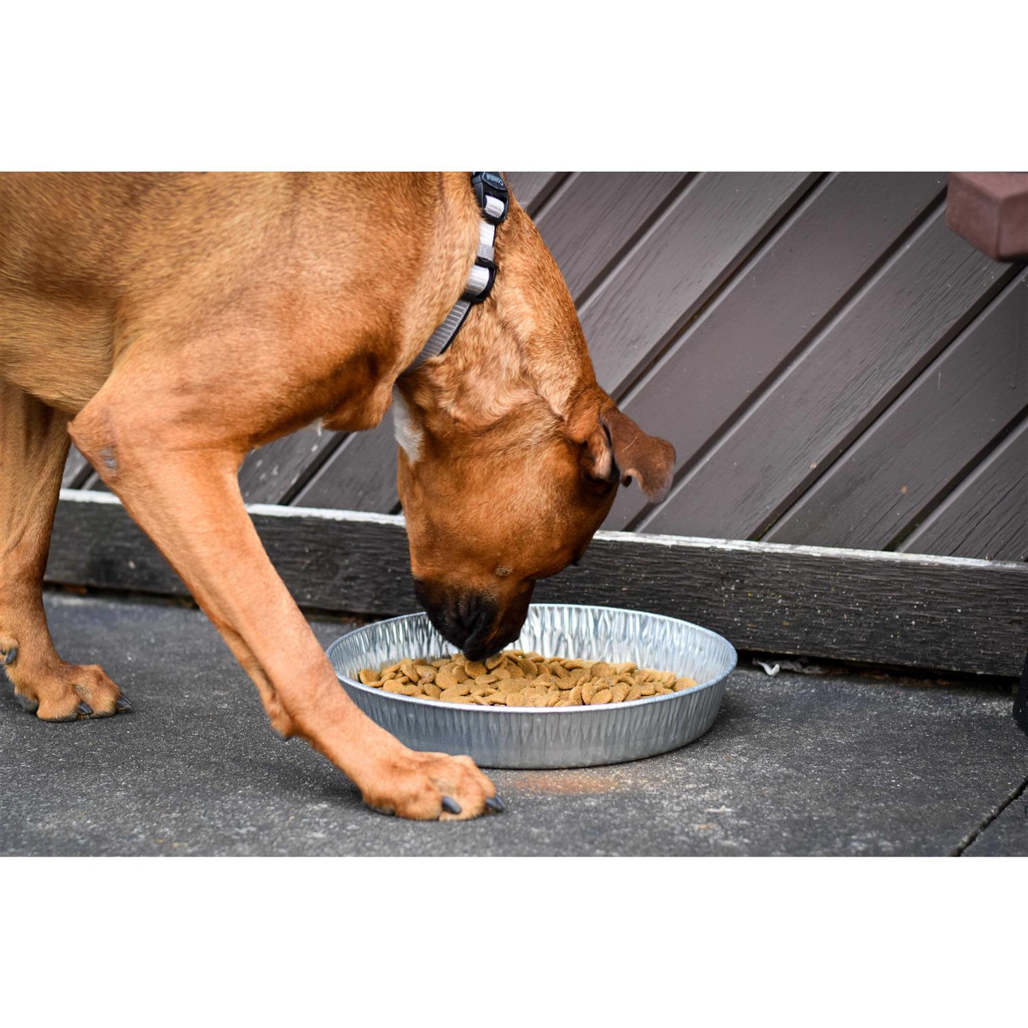 Alternative view of Bergan Galvanized Pet Pan 3 Quarts