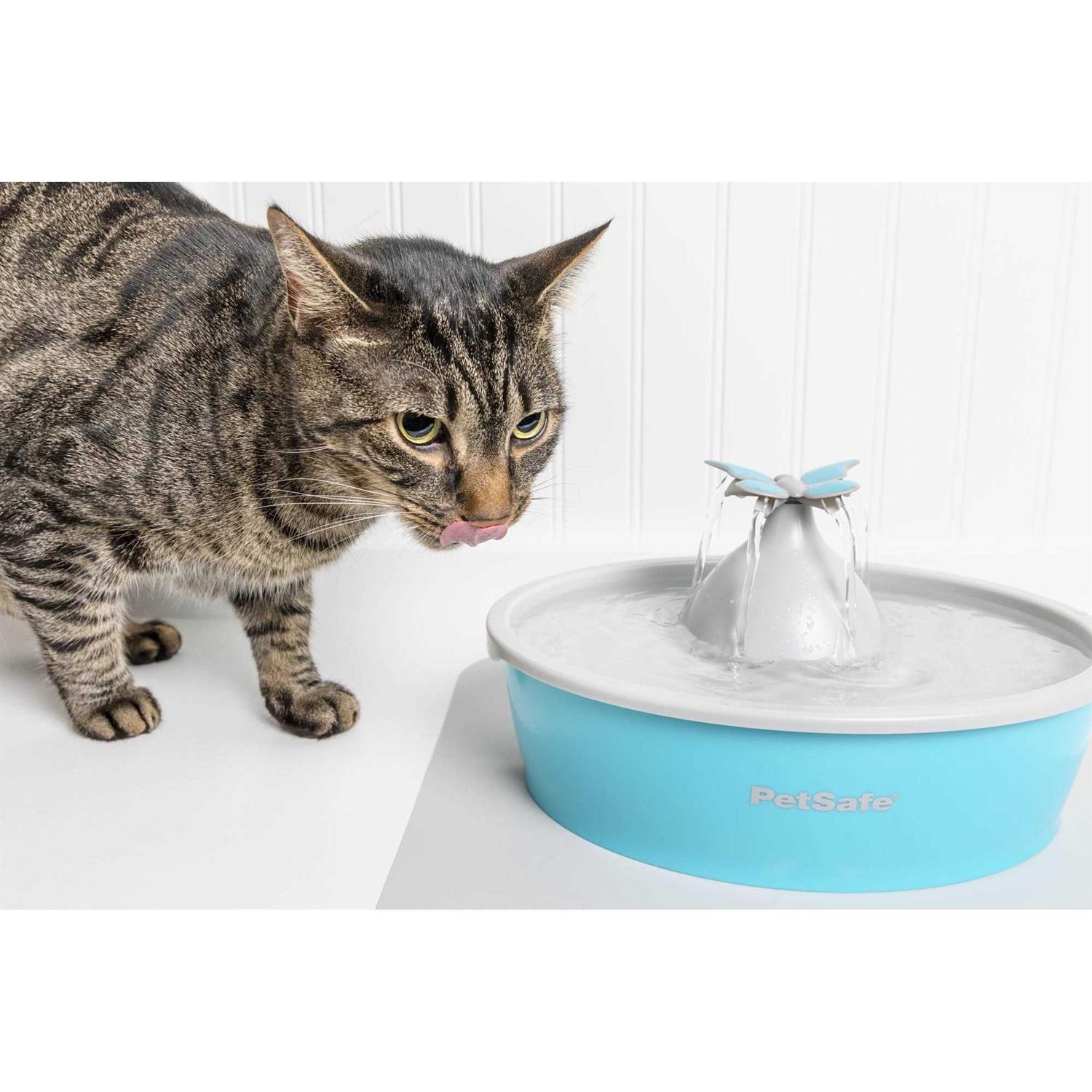 Alternative view of PetSafe Drinkwell Butterfly Pet Fountain