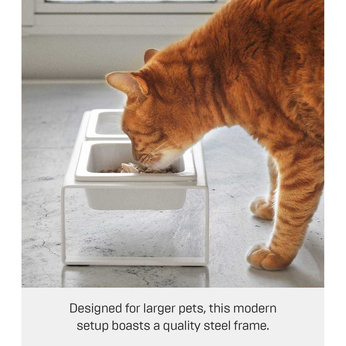 Alternative view of Yamazaki Pet Food Bowl