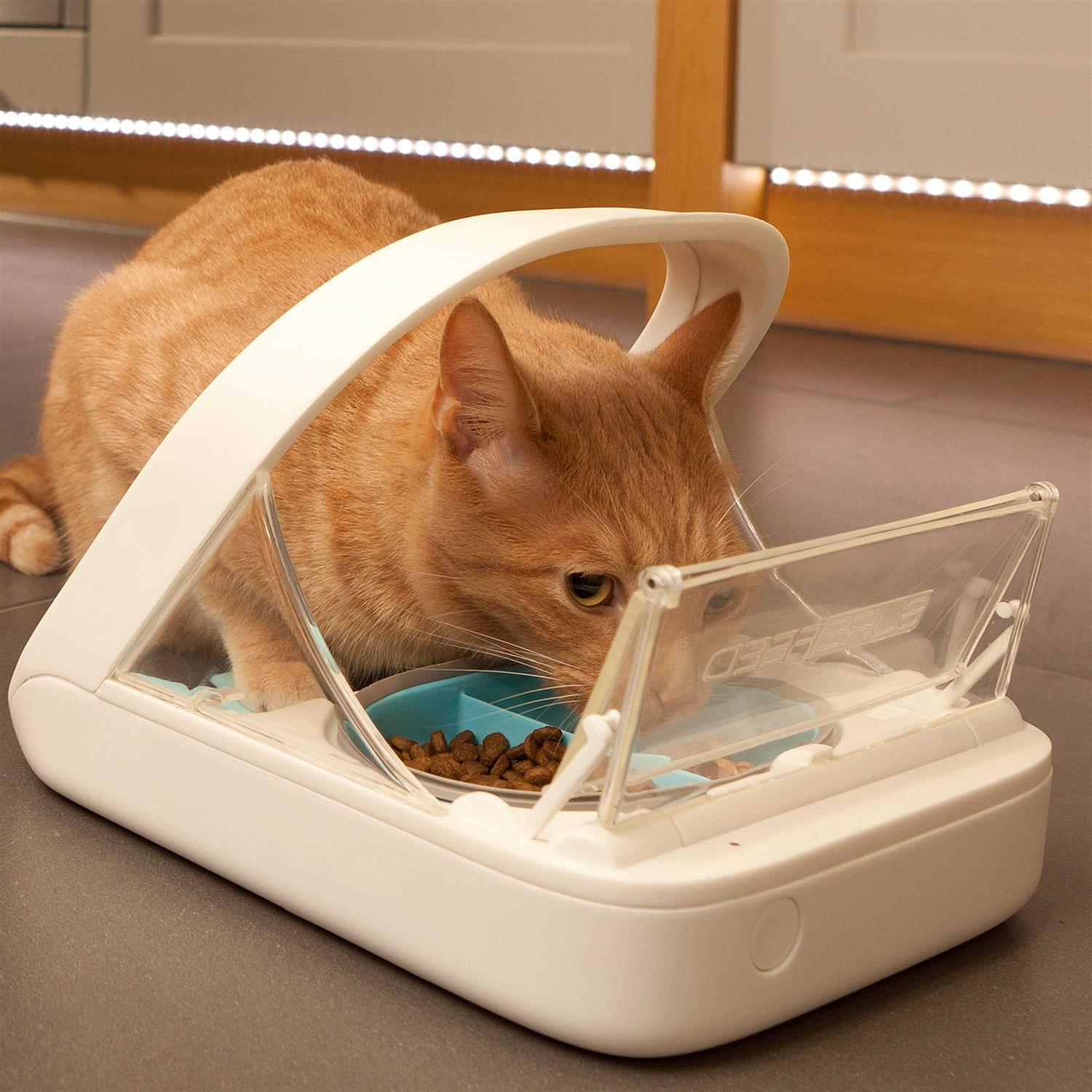 Alternative view of Surefeed Microchip Pet Feeder