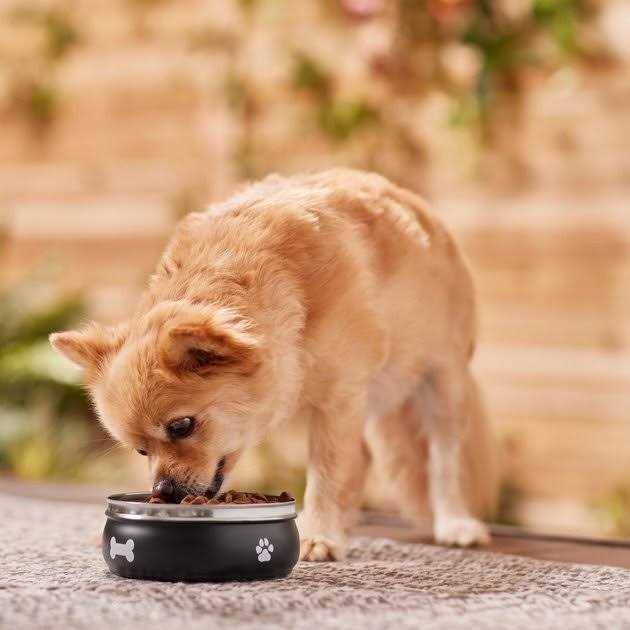 Alternative view of Frisco Travel Non-skid Stainless Steel Dog & Cat Bowl