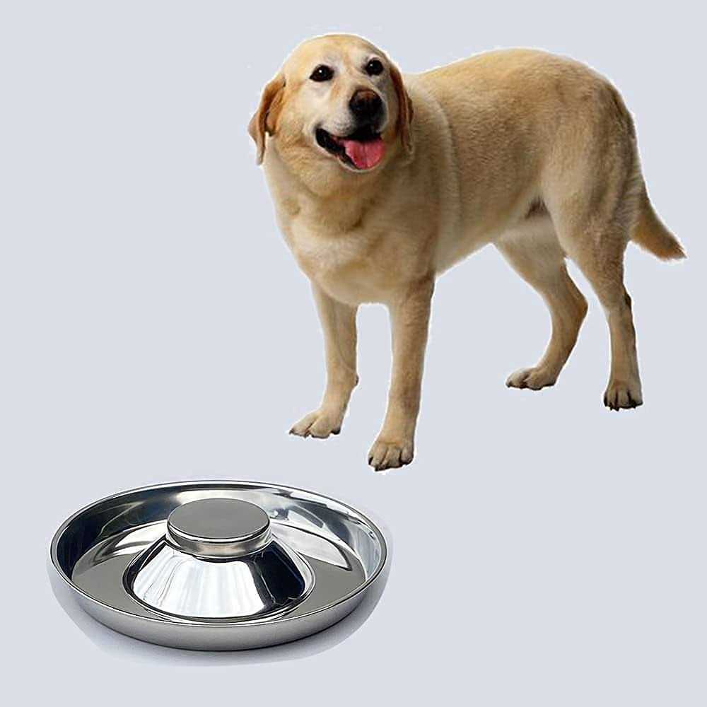 Alternative view of ballmount 2 Puppy Bowl Puppy Feeding Bowls for Small Dogs whelping Box Water Weaning Bowls