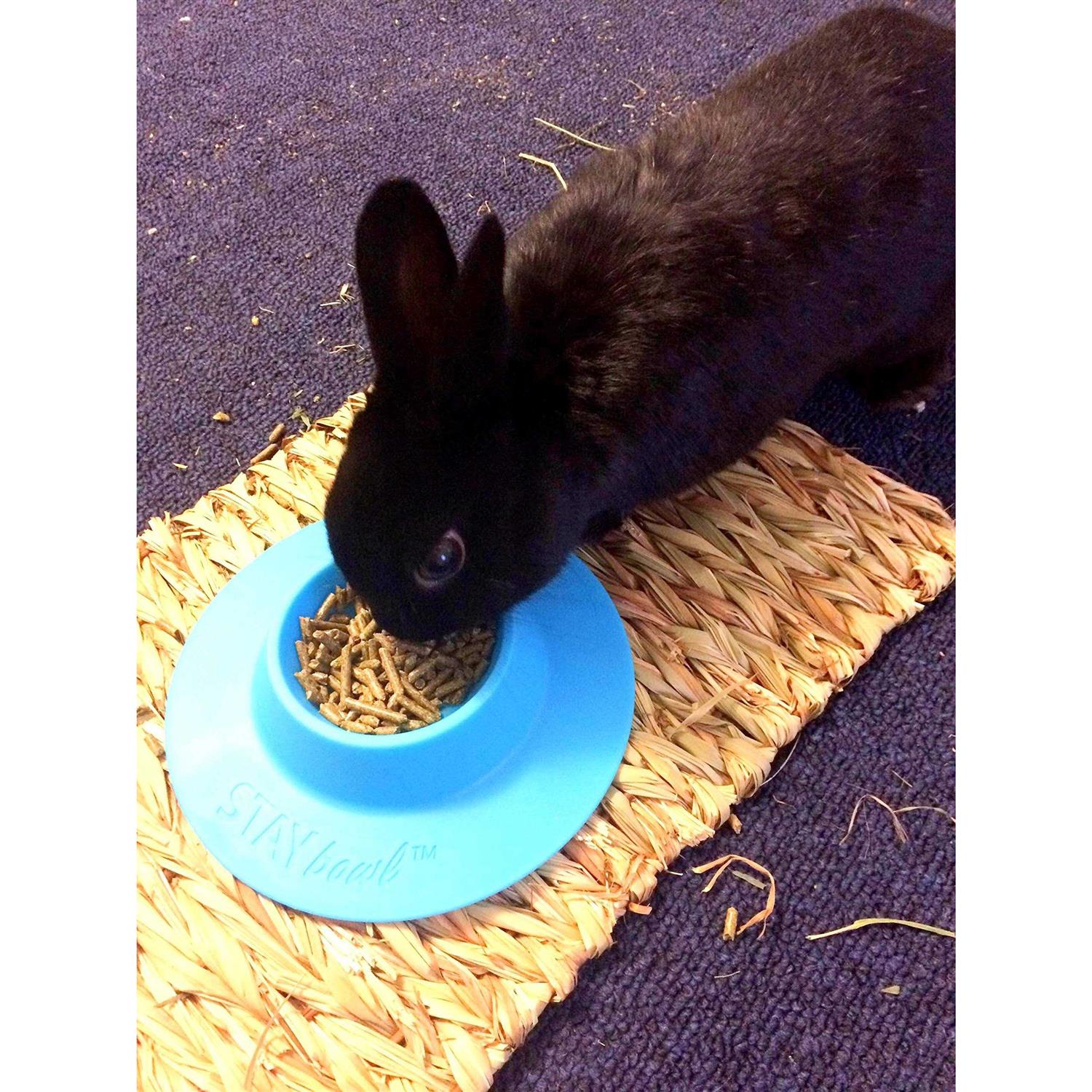 Alternative view of STAYbowl Tip-Proof Bowl for Guinea Pigs and Small Pets
