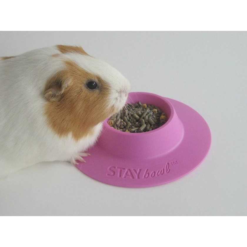 Alternative view of STAYbowl Tip-Proof Bowl for Guinea Pigs and Small Pets