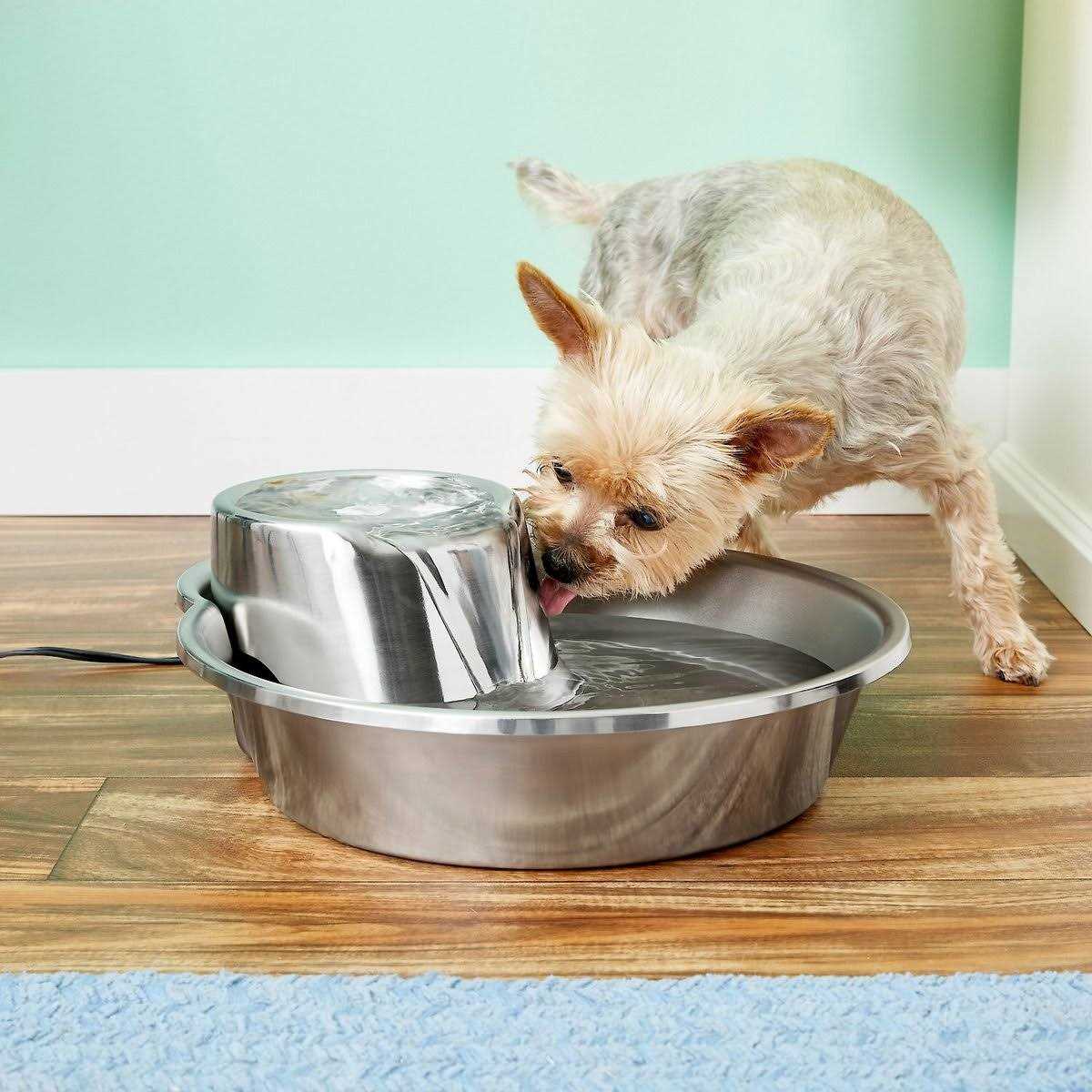 Alternative view of Pioneer Pet Big Max Stainless Steel Fountain