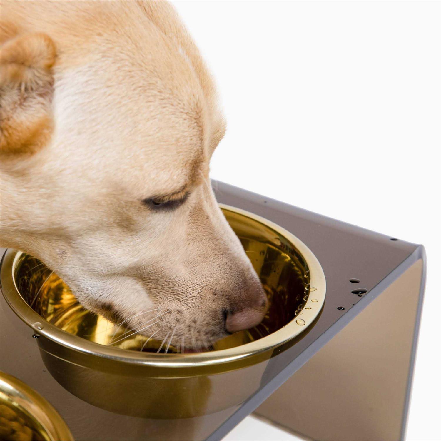 Alternative view of Acrylic Double Bowl Elevated Pet Feeder Hiddin