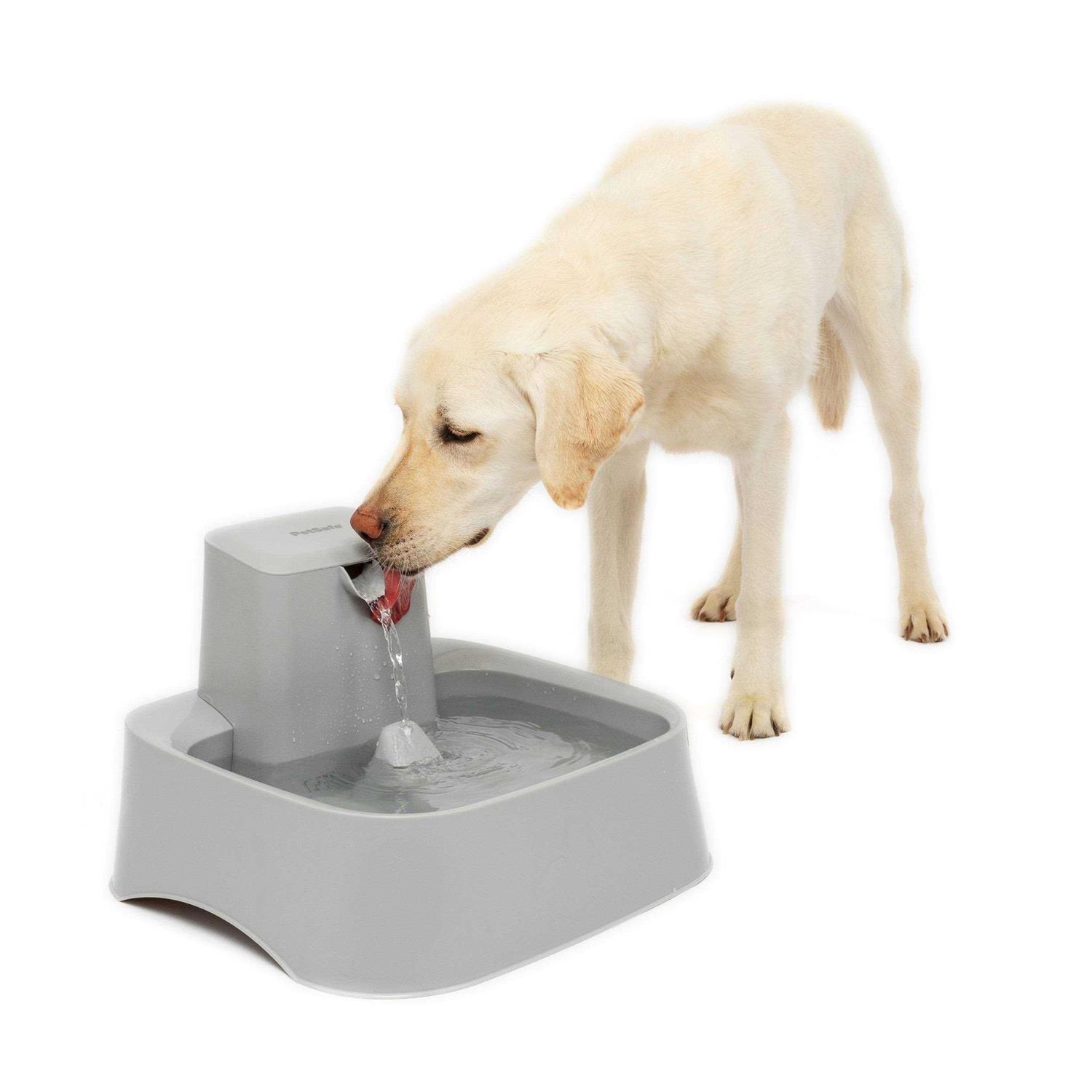 PetSafe Drinkwell 2 Gallon Fountain