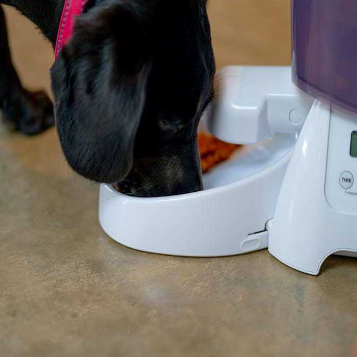 Alternative view of Cat Mate Automatic Dry Pet Food Feeder C3000