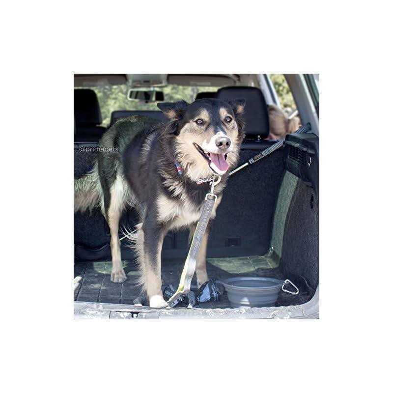 Alternative view of Prima Pets Prima Collapsible Silicone Water Travel Bowl with Clip Dog and Cat