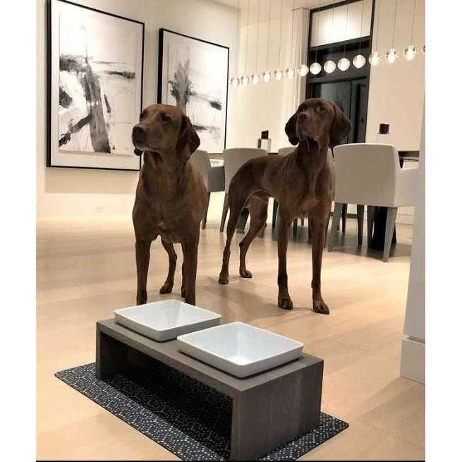 Alternative view of Bowsers Artisan Double Dog Feeder
