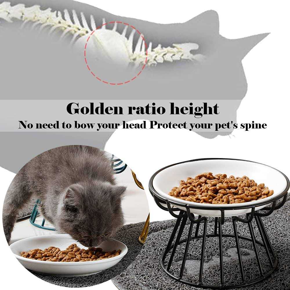 Alternative view of Wellbro Cat Bowls, Elevated Cat Bowl, Raised Ceramic Cat Dish with Metal Stand, Pet Water or Food Feeding Station for Indoor Cats