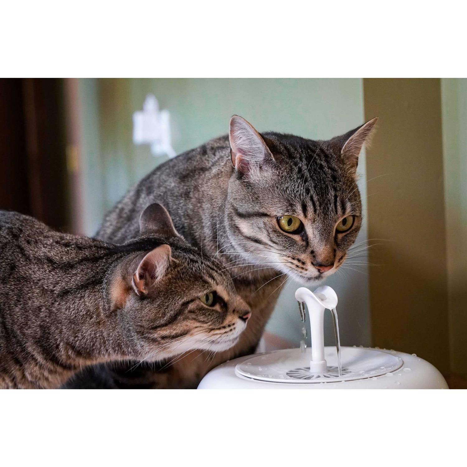 Alternative view of IntelliLeash PURRoducts Purrfect Water Fountain for Cats and Small Dogs with Premium 5-Layer Filter That Lasts Up To Two Months. Splash Free and Tip