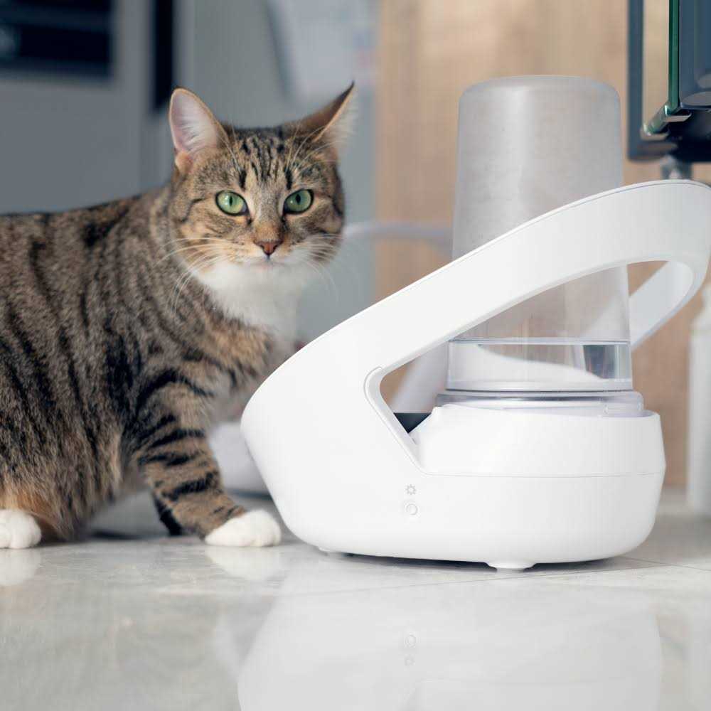 Alternative view of Sure Petcare Felaqua Connect