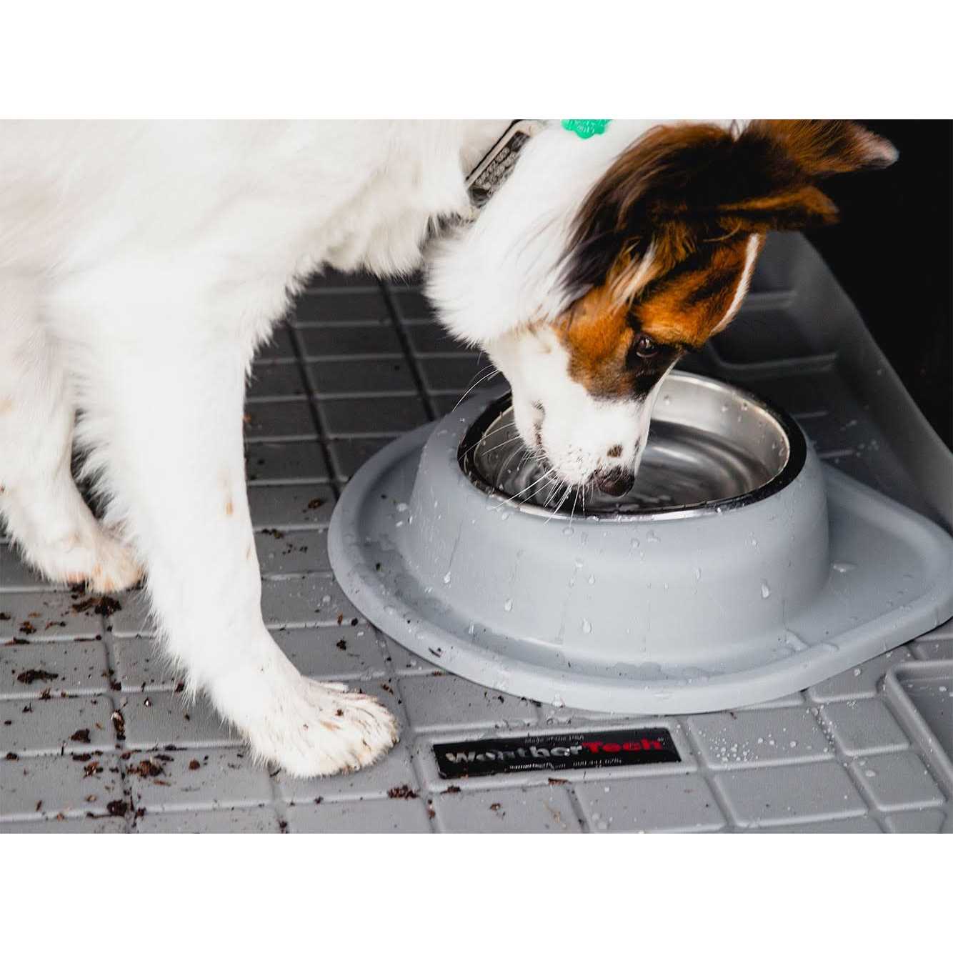 Alternative view of WeatherTech Double High Pet Feeding System