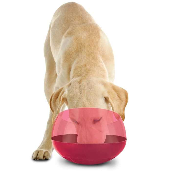 Alternative view of BLACK+DECKER Burgundy Rocking Interactive Slow Feeder Dog Bowl